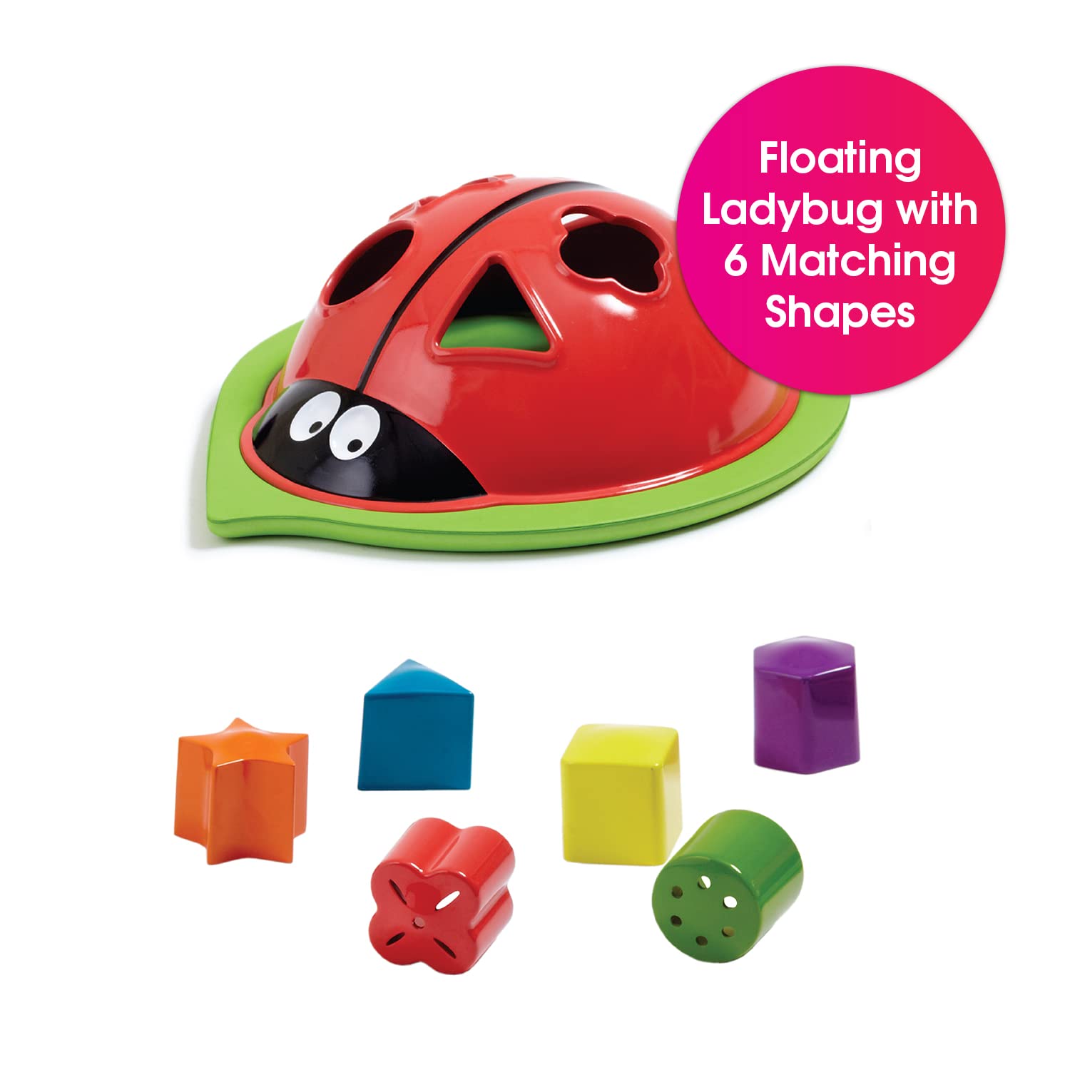 Edushape Ladybug Sorter
