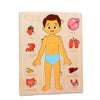 Montessori Jigsaw Puzzle of Human Structure Kids Human Learning Toy Anatomy Organ Model Anatomy Toy Children Human Organ Education Toys Human Organ