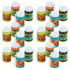 Fun Express Dino Bubbles (24 Pack of 1 oz Bottles) Dinosaur Party Favors and Toys - VBS Vacation Bible School Supplies/Decor