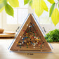Color Match Triangle Wooden Puzzle Brain Teaser