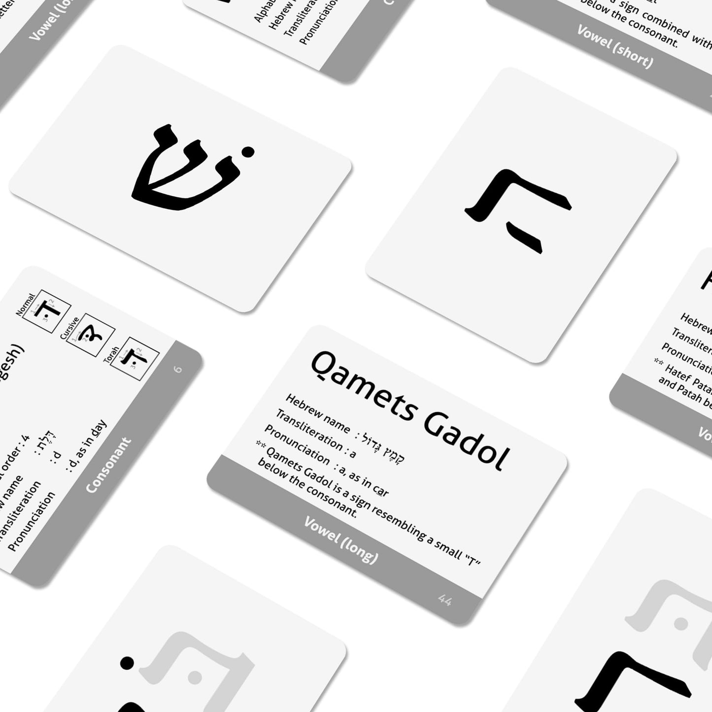 CARDDIA | Biblical Hebrew Alphabet Educational Flashcards | Includes Consonants, Vowels, Dagesh, and Final Forms
