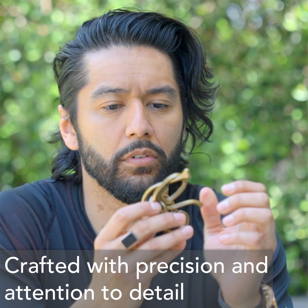 BePuzzled | H&H Hanayama Metal Brainteaser Puzzle Mensa Rated Level 5, for Ages 12 and Up
