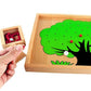 DANNI Montessori Children Math Teaching Aids Montessori Baby Wood Apple Tree Box Toy Number Matching Wood Math Count Education Toys