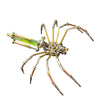 OBIOCKIDAY 3D Metal Puzzle for Adults, Steampunk Spider Metal Model Kit, 118PCS DIY Assembly Mechanical Building Set Animal 3D Puzzle Kit, Brain