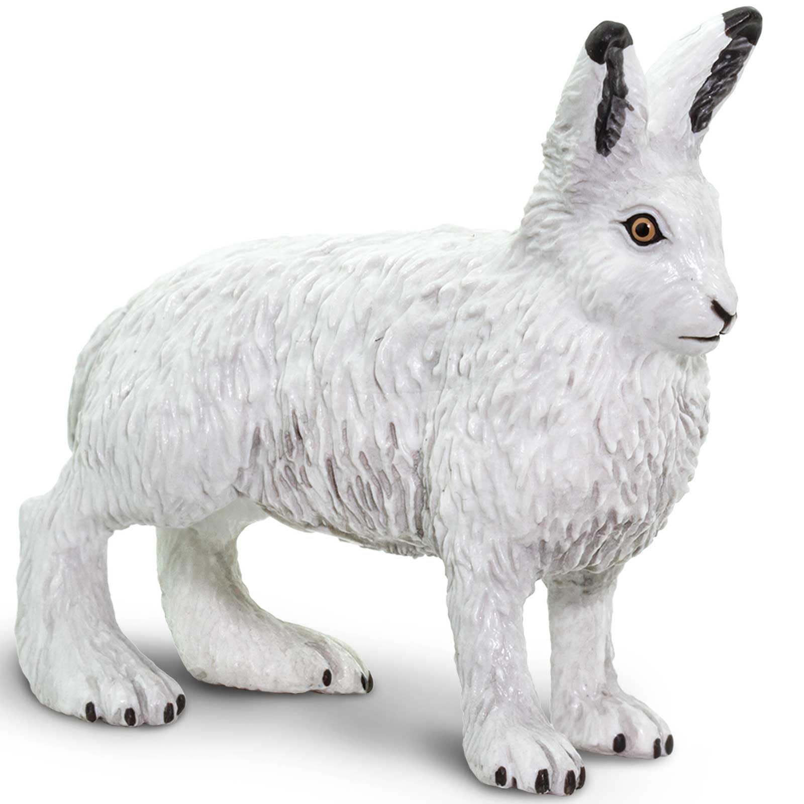 Safari Ltd. Arctic Hare Figurine - Detailed 2.5" Plastic Model Figure - Fun Educational Play Toy for Boys, Girls & Kids Ages 3+