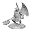 WizKids D&D Nolzur's Marvelous Miniatures: Nycaloth