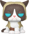 Funko Your Favorite Grumpy Cat, Stylized as a Pop! Vinyl from, Multicolor (34107)