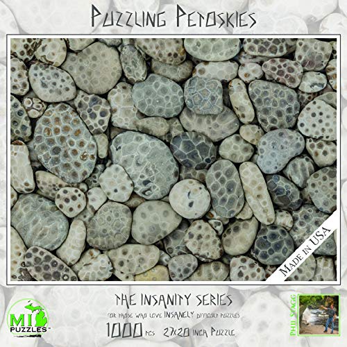 Puzzling Petoskies - Petoskey Stones - Insanity Series - 1000 Piece MI Puzzles Jigsaw Puzzle