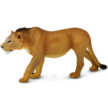 Safari Ltd. Adolescent Male Lion - Detailed 6" Wildlife Figurine - Educational Toy for Boys, Girls, and Kids Ages 3+