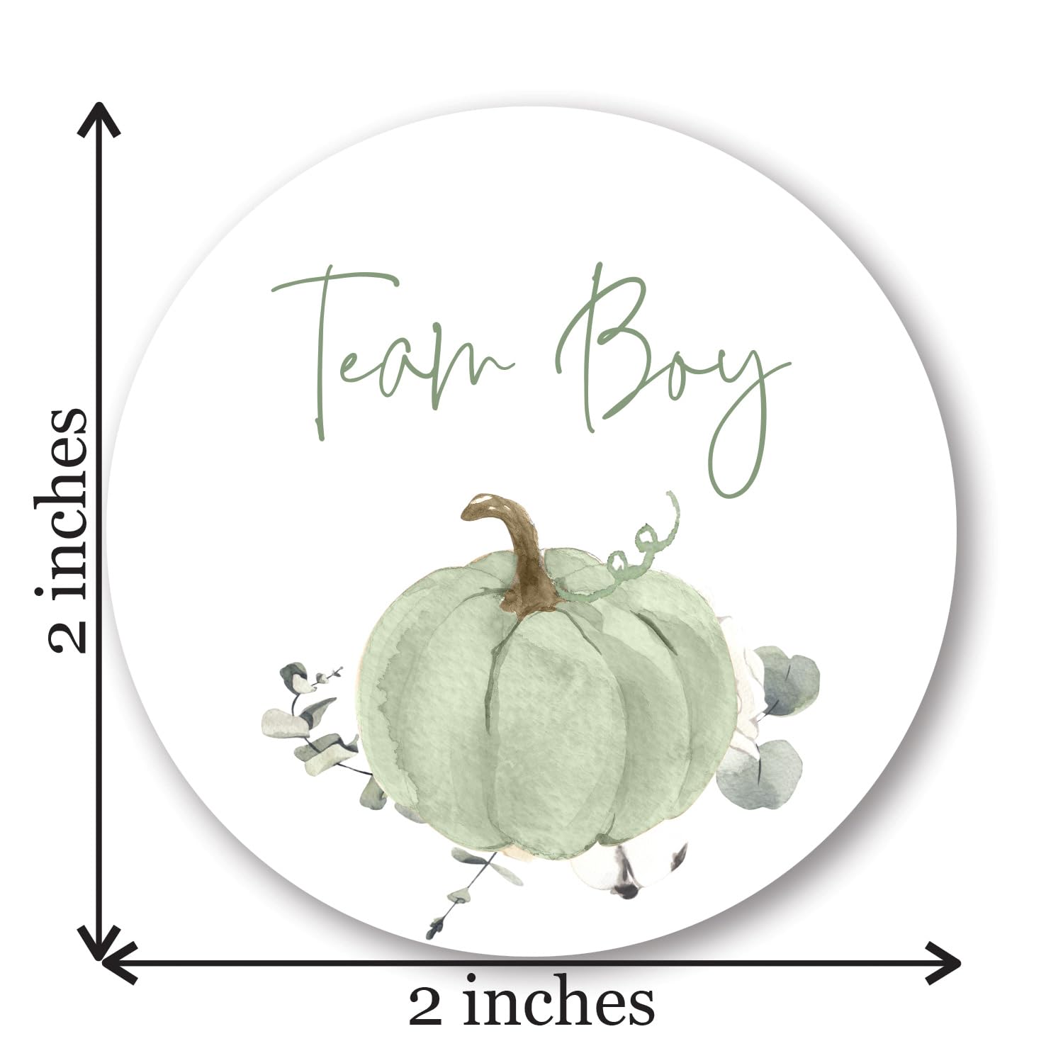 Boho Pumpkin Gender Reveal Stickers - 40 Labels (20 of Each Design)