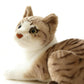 GUDVES Siamese Cat Stuffed Animal, Shorthair Cat Realistic Plush Cat Stuffed Toys, Gift for Kids 12inches (B)