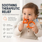 Chewy Tubes P & Q Oral Motor Chew Tool, Latex-Free, Teething & Sensory