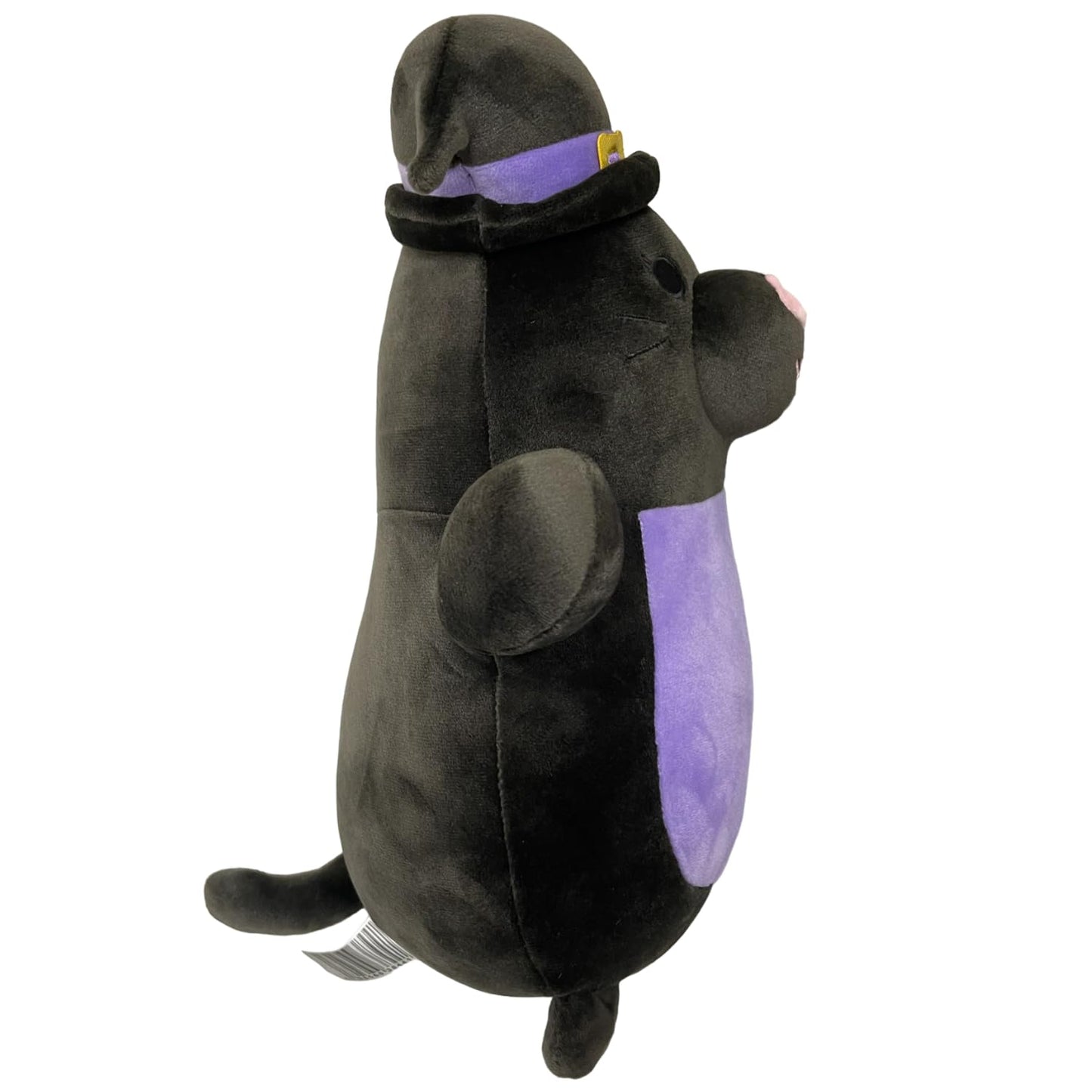 Squishmallows 10 Inch Hug Mees Official KellyToy Halloween 2023 (Autumn The Black Cat)