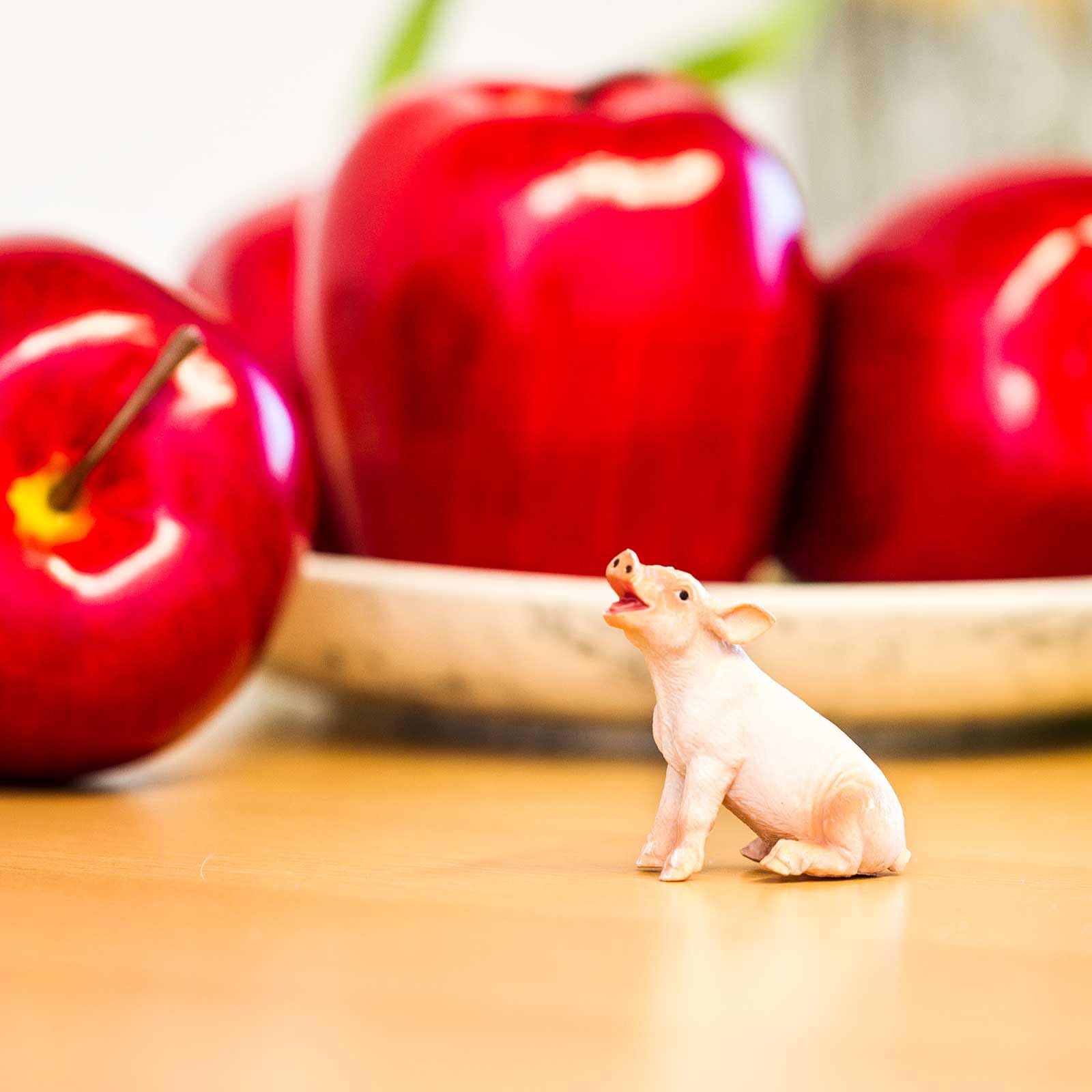 Safari Ltd. Sitting Piglet Figurine - Lifelike 1.75" Model Figure - Educational Toy for Boys, Girls, and Kids Ages 3+