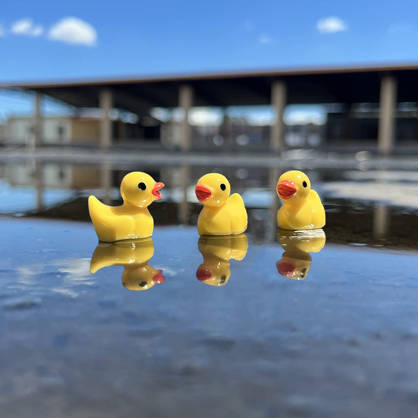 WEHOO 220 Pieces Mini Resin Duck Miniature Figures Micro Fairy Garden Landscape Aquarium Hide and Seek Prank Dollhouse Ornament Potted Plants Cake