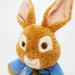 Gund Peter Rabbit Take-a-Long Plush, 12"