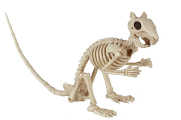 Crazy Bonez Skeleton Squirrel - 7" Halloween Skeleton Animal Decoration with Bendable Tail, Durable All-Weather Plastic, Realistic Bone Detail