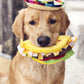 Mukola 4 Pieces Mini Mexican Sombrero Hats, Straw Sombreros for Fiesta Carnival Mexican Theme Party Decorations, Party Favors, One Size, Black, Beige