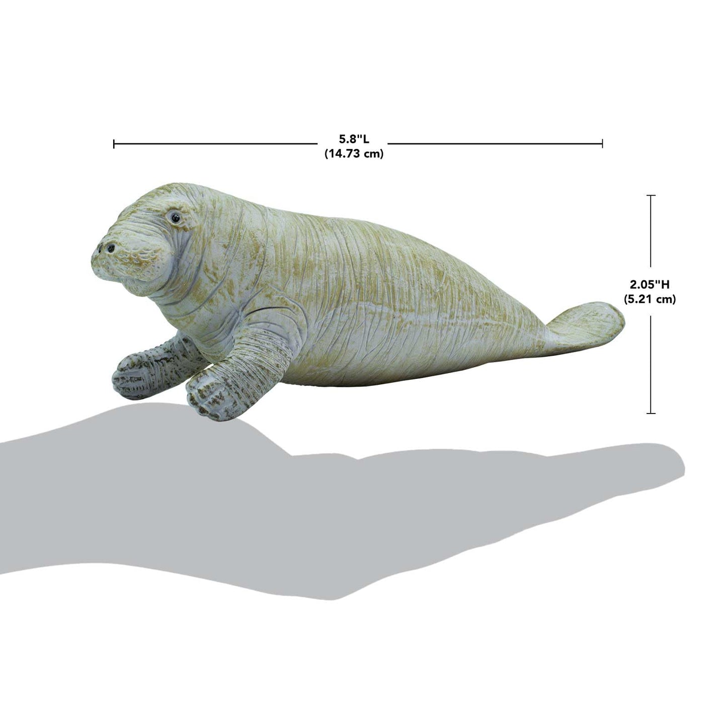 Safari Ltd. Manatee Figurine - Detailed 6" Plastic Model Figure - Fun Educational Play Toy for Boys, Girls & Kids Ages 3+