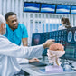 Human Skull and Brain Anatomy Model Life-Size