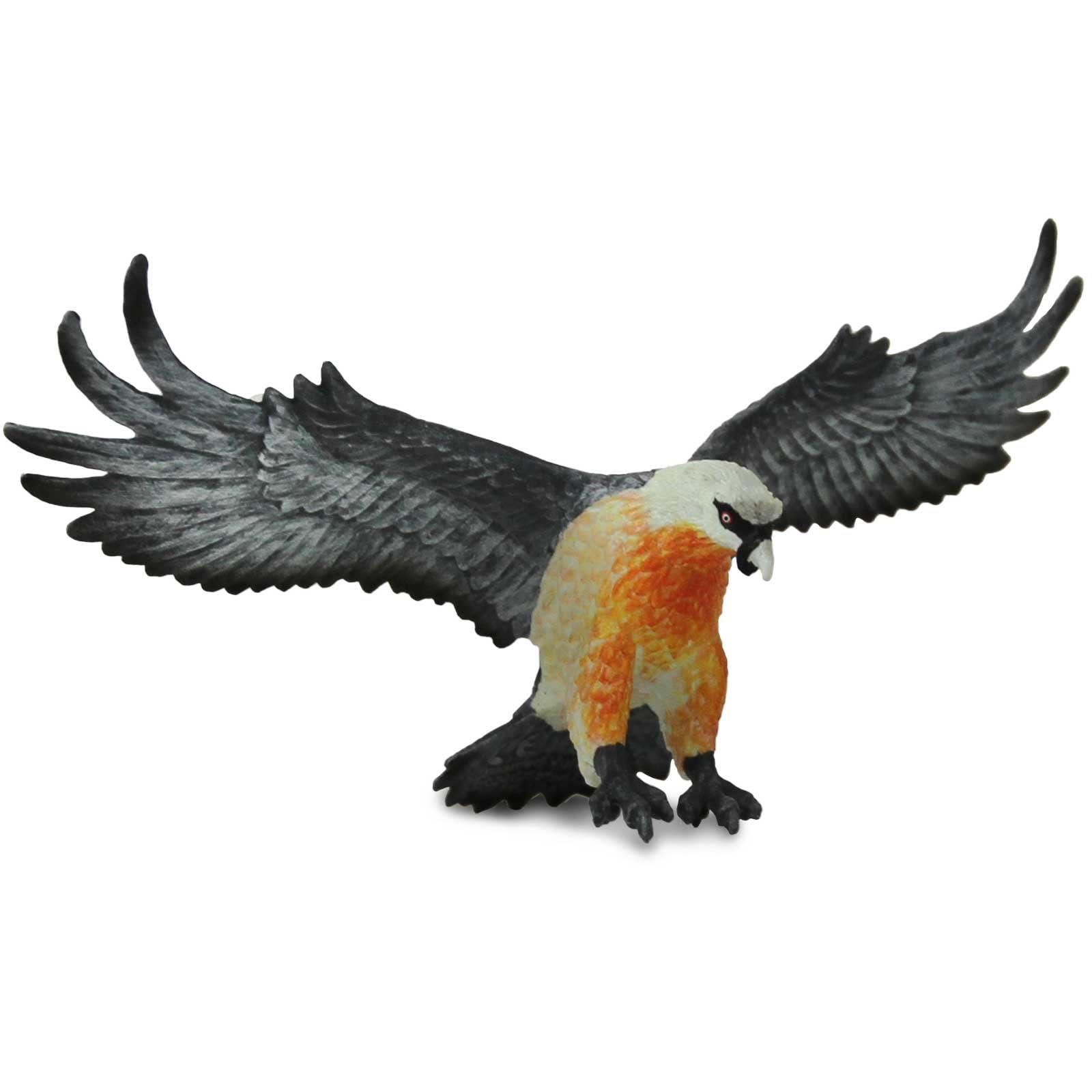 Safari Ltd. Bearded Vulture Figure - Realistic 5.5" Bird Model - Educational Toy for Boys, Girls, and Kids Ages 3+