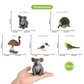 Volnau Animal Toys Figurines 12PCS Australian Figures for Kids Christmas Decoration Gift Preschool Educational Zoo Pack Kangaroo Koala Bear Emu Safari