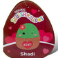 Squishmallows Official Kellytoy 14 Inch Shadi Cactus Plush with A Heart and XOXO On Belly - 2023 Valentine’s Squad Stuffed Animal Toy Pillow