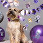 Fun Express Puppy Dog Sticker Sheets - Stationery - VBS Vacation Bible School Supplies/Decor - 24 Pieces