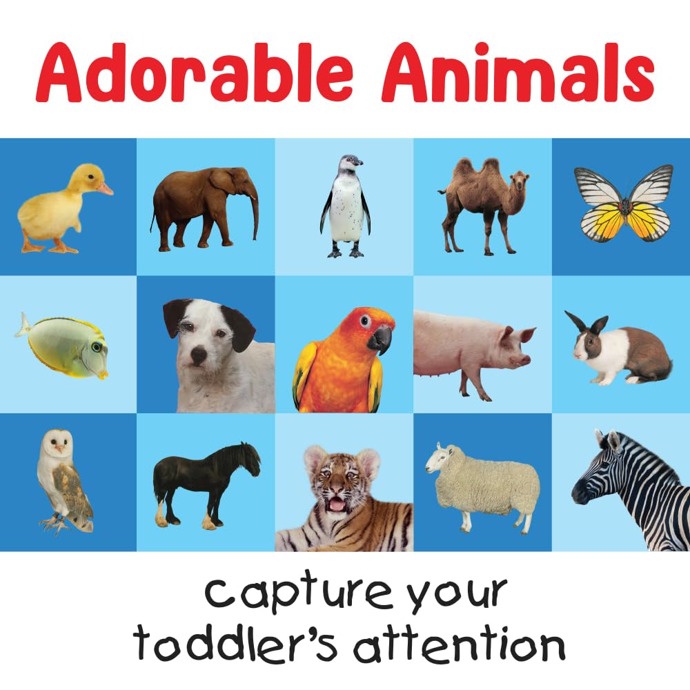 Briarpatch, First 100 Animals Matching Card Game, Based On Board Books by Roger Priddy, Preschool Learning for Kids
