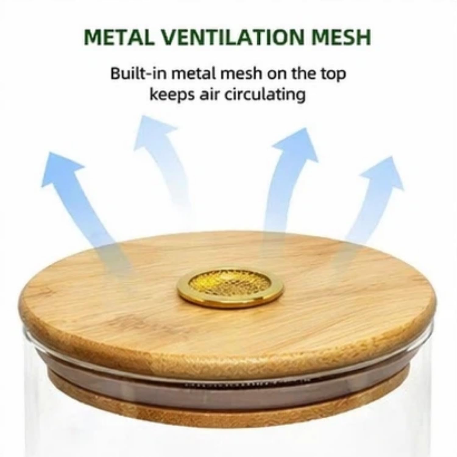 Science Education Worm Compost Experiment bin, Waste Decomposition into composting kit, ant Farming Plant