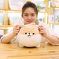 EHOTONG Shiba Inu Dog Plush Pillow, Corgi Stuffed Animal Plush Toy Hug Pillow Gifts for Girl Boy (Brown, 15.7in)