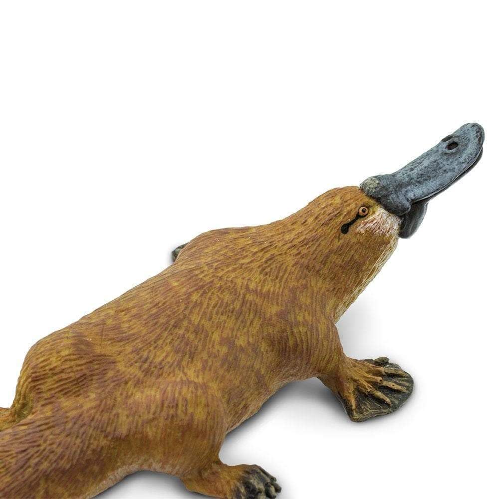 Safari Ltd. Platypus Figurine - Detailed 4.75" Plastic Model Figure - Fun Educational Play Toy for Boys, Girls & Kids Ages 3+