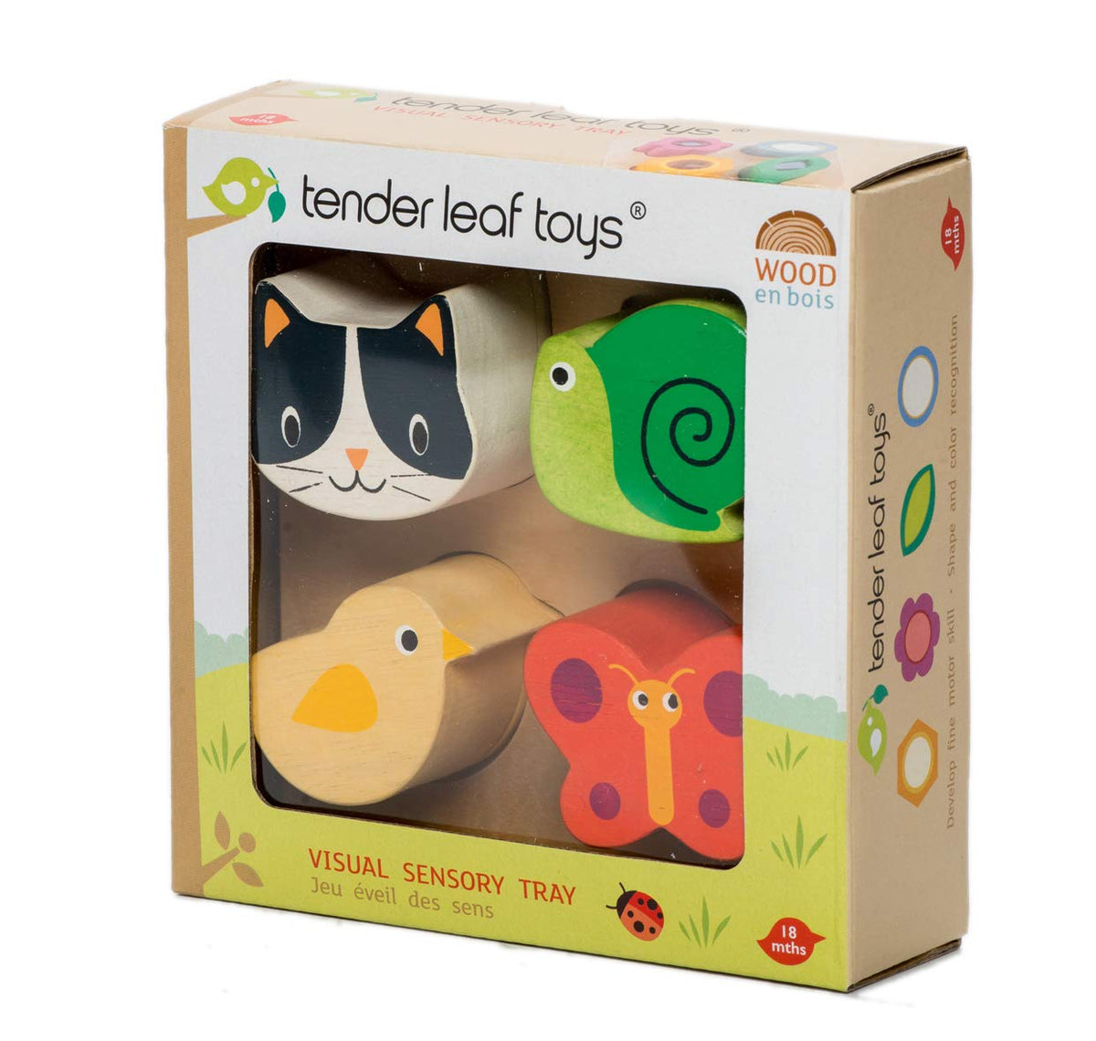 Tender Leaf Toys - Sensory Trays - Baby Blocks, Shape Sorter, STEM Learning Shape Identification Sorting Game Toy for Kids 18 Month + (Touch Sensory