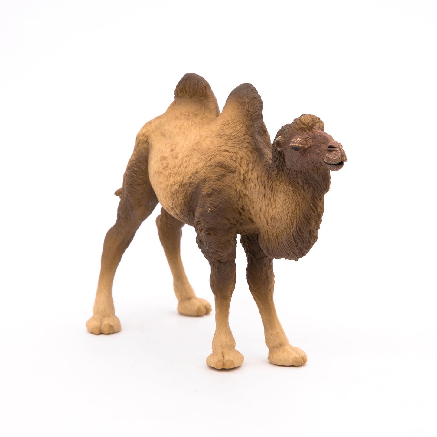 Papo - Realistic Bactrian Camel Figure Toy for Kids - Ages 3+ - Wild Life Collection - Educational Play Exotic Animals - Gift Idea Toy for Girls