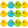 Fun Express Bright Pattern Rubber Duckies - Toys - 12 Pieces