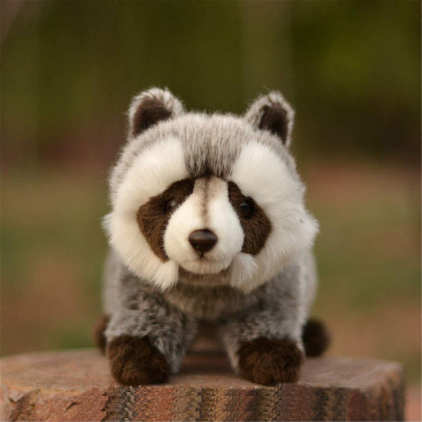 TAMMYFLYFLY Stuffed Toy 12" Raccoon Plush Stuffed Animal