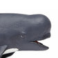 Safari Ltd. Pilot Whale Figurine - Lifelike 5.75" Model Figure - Educational Toy for Boys, Girls, and Kids Ages 3+