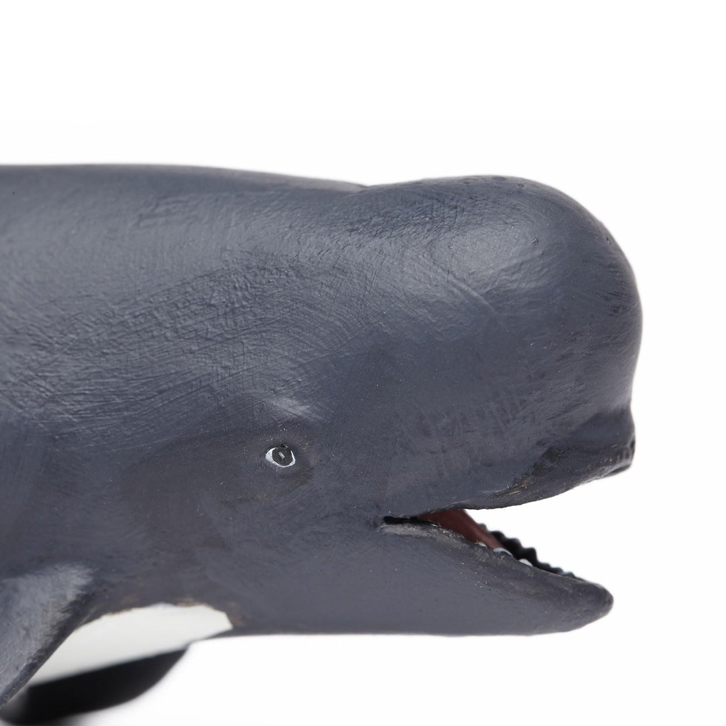 Safari Ltd. Pilot Whale Figurine - Lifelike 5.75" Model Figure - Educational Toy for Boys, Girls, and Kids Ages 3+