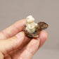 Miniature Bunny Rabbit Nut Boat, Dollhouse Bunny with Paddle in Boat, Mini Rabbits Sitting, for Fairy Garden, Terrarium, Diorama or Mini Gardening