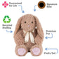 Vermont Teddy Bear 20" Bunny Stuffed Animal | USA Bear Hospital Care
