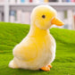 8 Inch Small Yellow Duck Plush Toys Duck Stuffed Toys (Yellow)