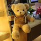 YUKOUQIAN Teddy Bear Stuffed Animals Soft Plush Cute Teddy Bear Doll for Boys Girls 15.7in (Brown Bear 15in)