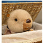 HWHXCZYH Groundhog Plush 8 Inch, Kawaii Capybara Style Soft Stuffed Animal, Cute Chill Fluffy Plushie Pillow Desk Decor Room Accessory, Stress Relief