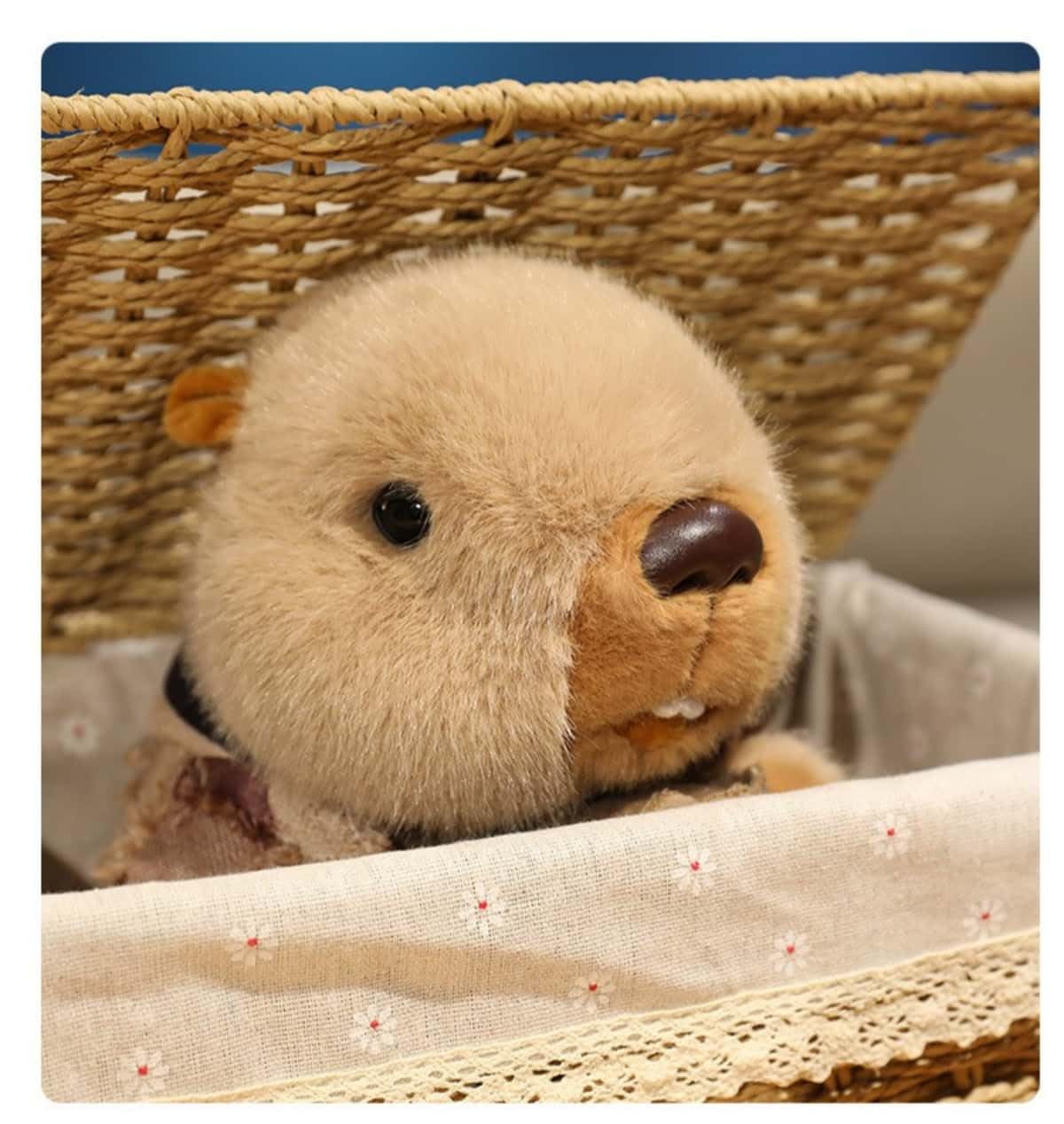 HWHXCZYH Groundhog Plush 8 Inch, Kawaii Capybara Style Soft Stuffed Animal, Cute Chill Fluffy Plushie Pillow Desk Decor Room Accessory, Stress Relief