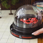 FanRoll Dungeons and Dragons D&D Orb of Possibility, Automatic Dice Roller w/Super Bounce d20