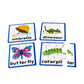 Junior Learning 6 Spelling Games, Multi