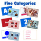 Letters, Numbers, Colors, Shapes & Animals Flashcards for Toddlers | Fun Educational Learning Toys | Premium Quality Cards for Kids Ages 1-3 | Early