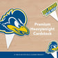 Desert Cactus University of Delaware UD Fightin Blue Hens Food Picks, Cupcake and Cake Toppers, Cake Pop Sticks - 25 Pcs Party Supplies