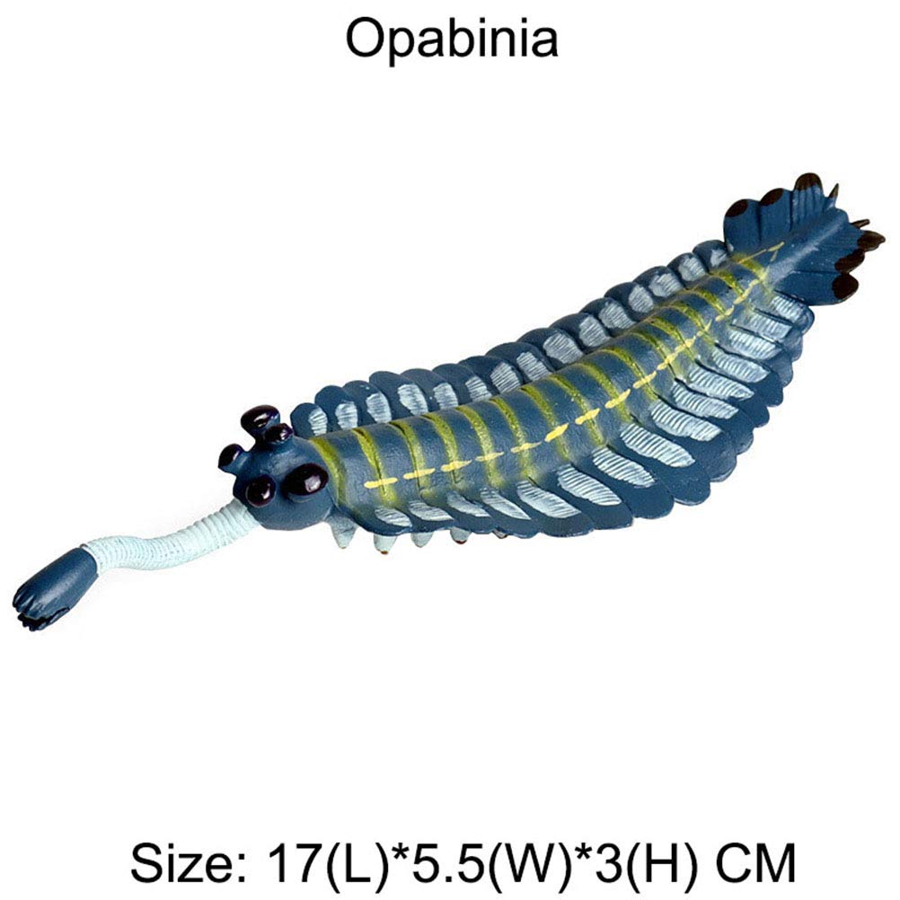 FLORMOON Animal Figures 5 pcs Realistic Plastic Cambrian Ancient Organism Set Includes Anomalocaris, Opabinia, etc. Science Project, Learning