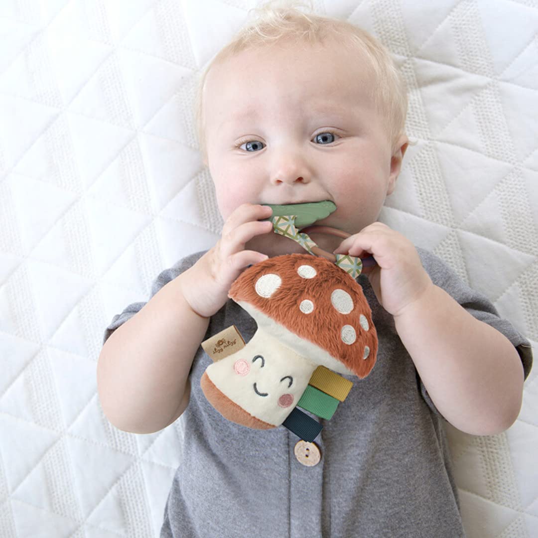 Itzy Ritzy Infant Toy & Teether - Itzy Pal Baby Teething Toy Includes Lovey, Crinkle Sound, Textured Ribbons & Silicone Teether Toy for Newborn